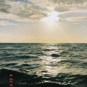 Meet your Posher, Audrey